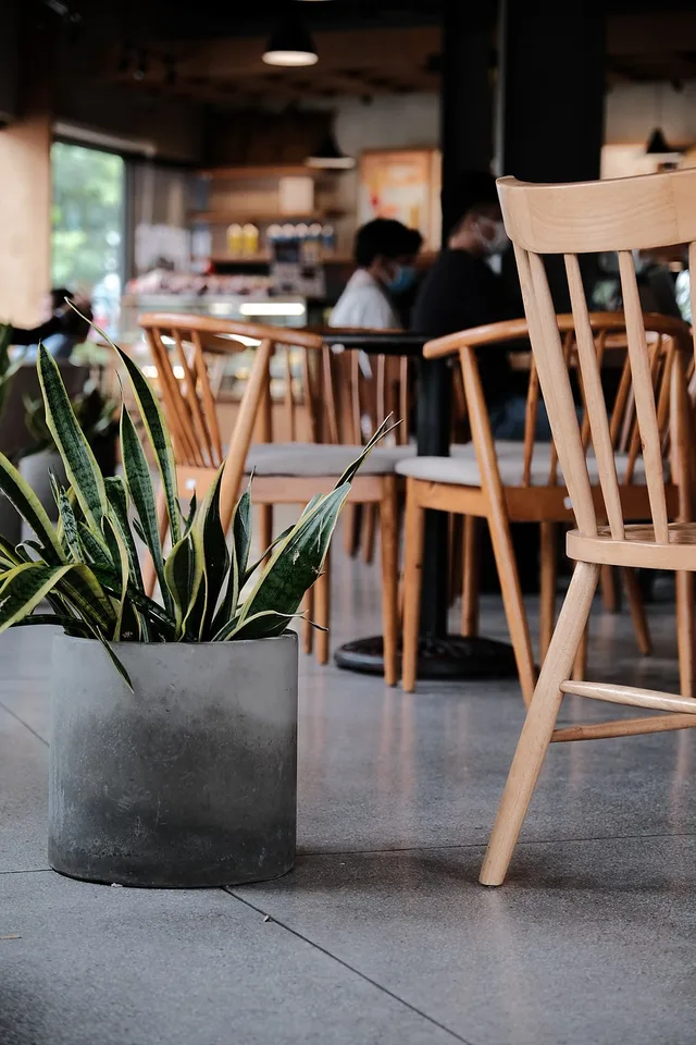coffee, desk, business, tea, meeting, working, nature, minimalist, tree, retro, style, modern. Coworking space broker: who pays, and what to get in writing