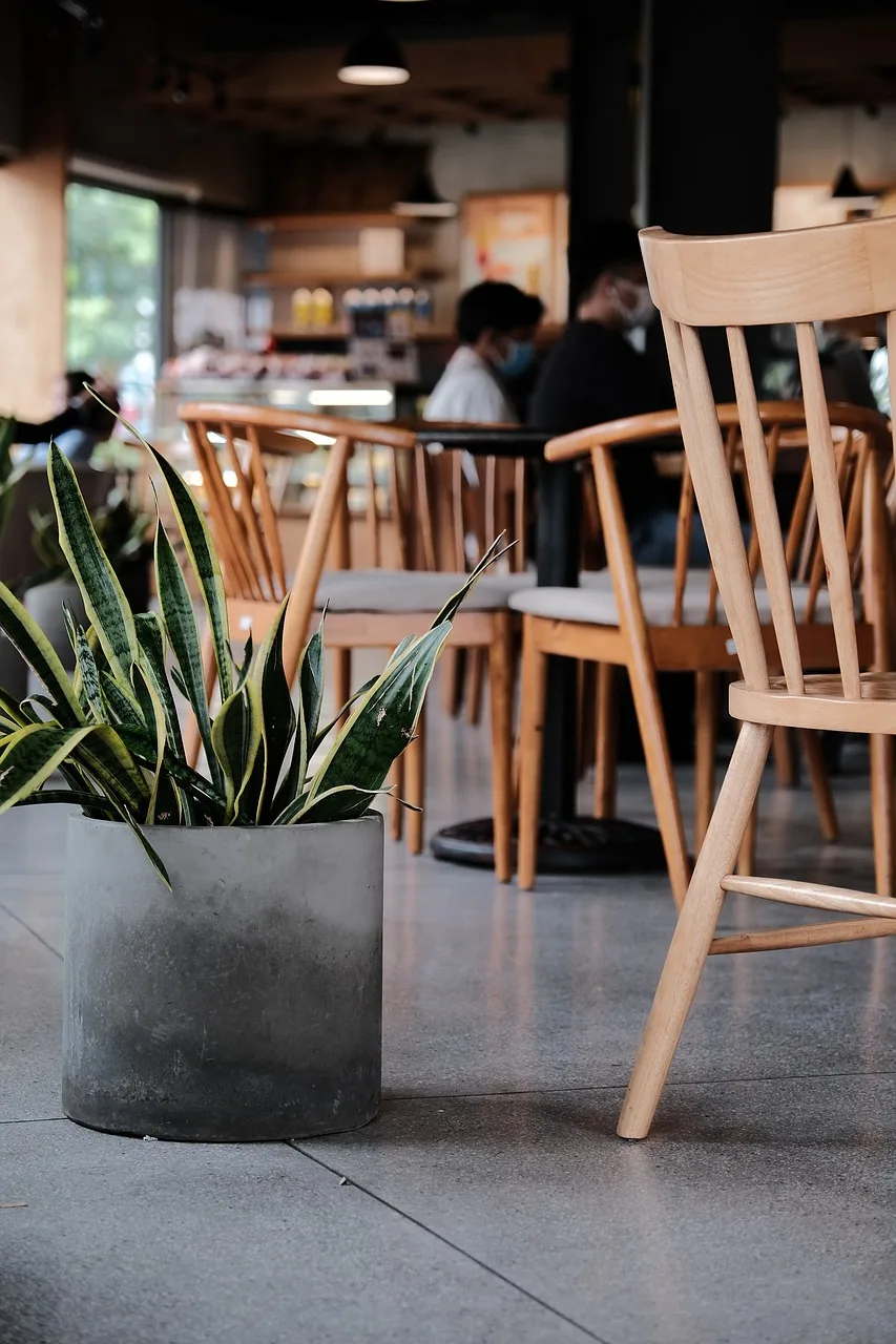 coffee, desk, business, tea, meeting, working, nature, minimalist, tree, retro, style, modern. Coworking space broker: who pays, and what to get in writing